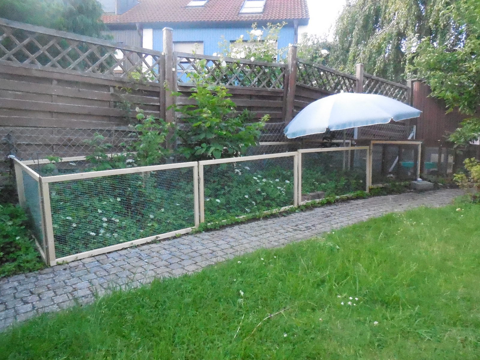 tagsüber geht´s raus ins Kerbl Gehege zum Giersch fressen :D