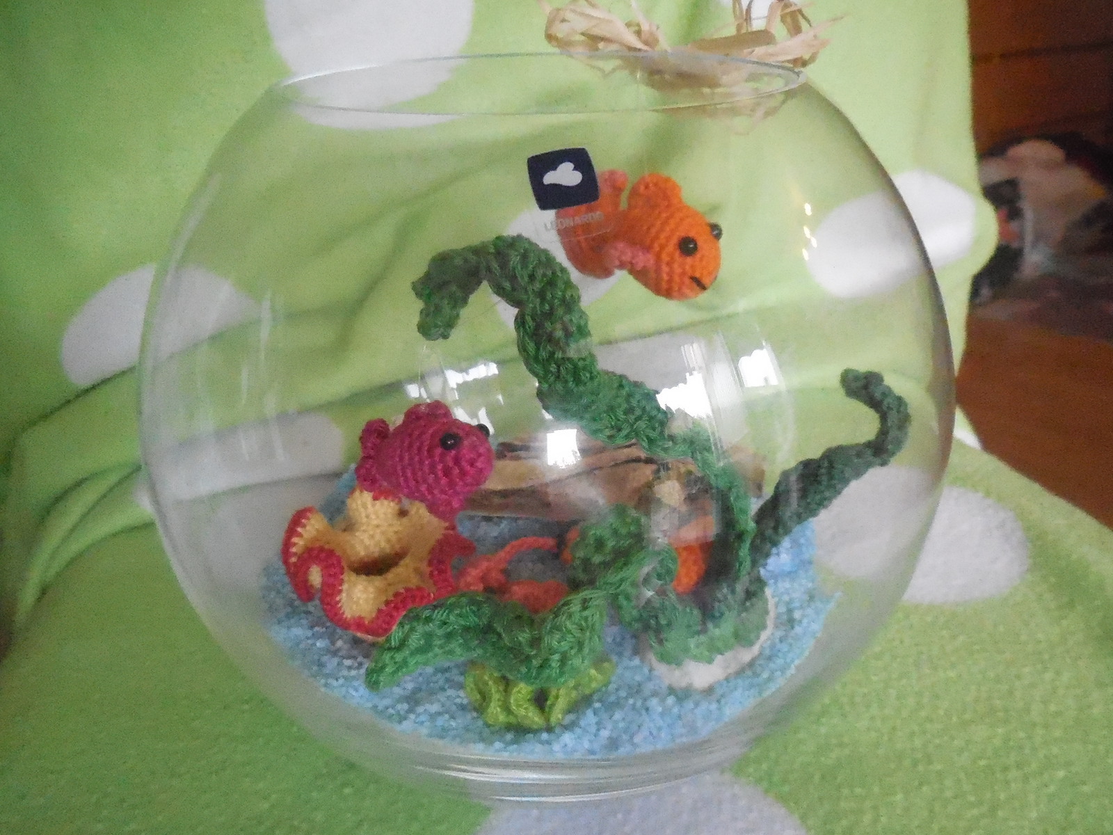das Aquarium hab ich verschenkt
