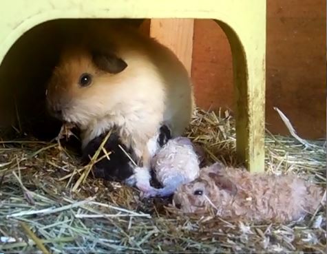 Blümchen guckt sich die Sache ganz genau an :D