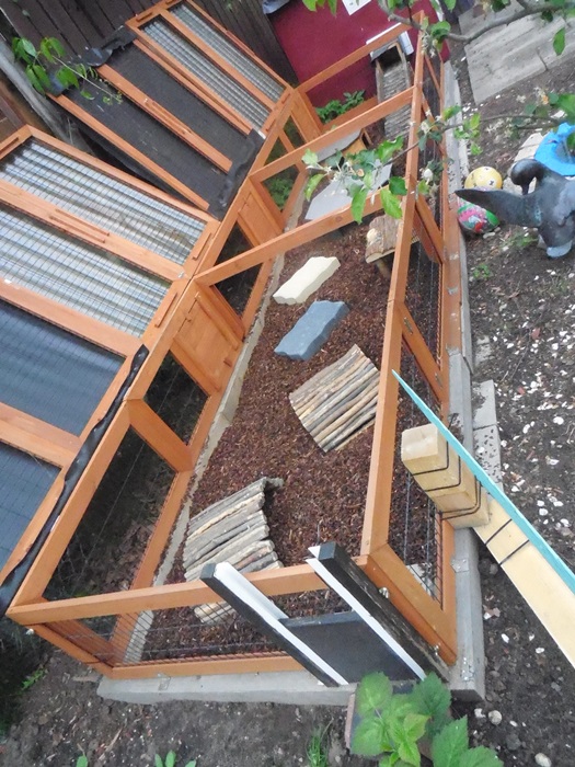 Blick ins geöffnete Gehege