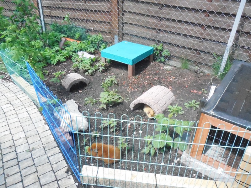 ...noch bisschen kahl