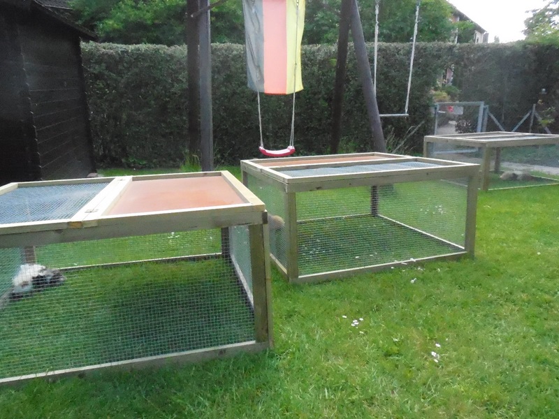 drei Freigehege zum Aufstellen auf die Wiese