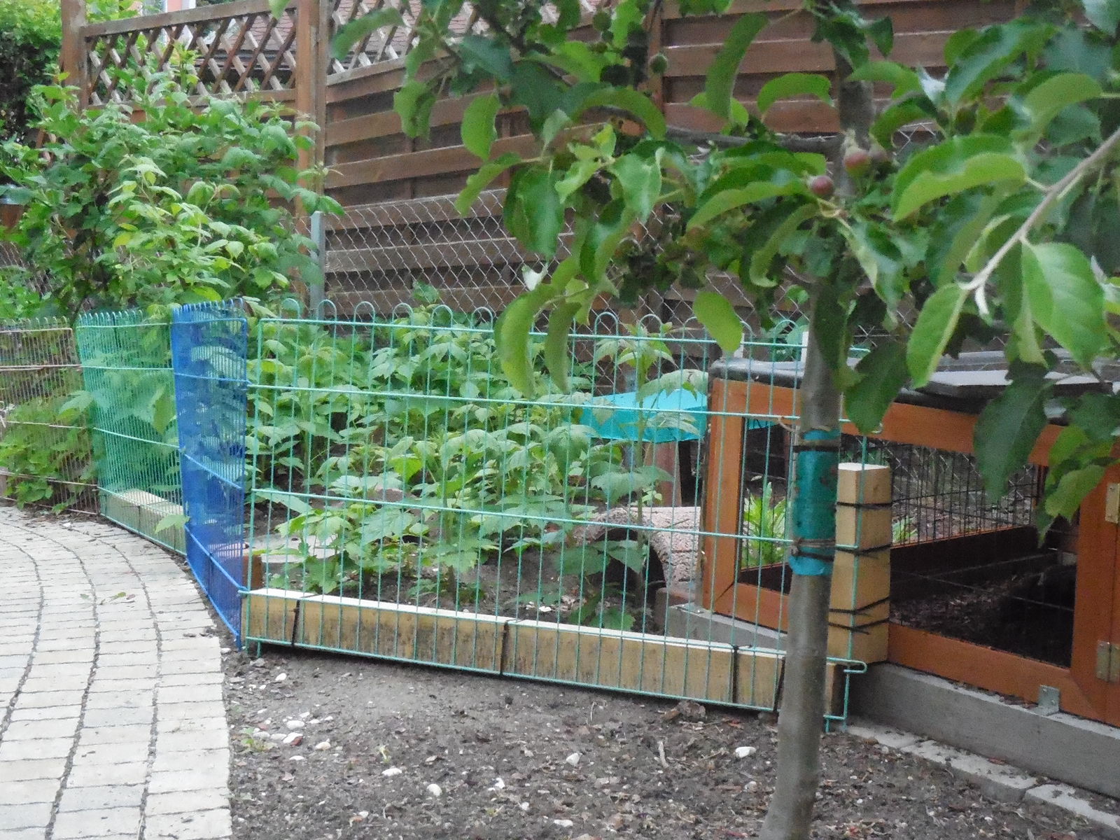 den Zugang zum eingezäunten Bereich kann ich öffenen oder schließen