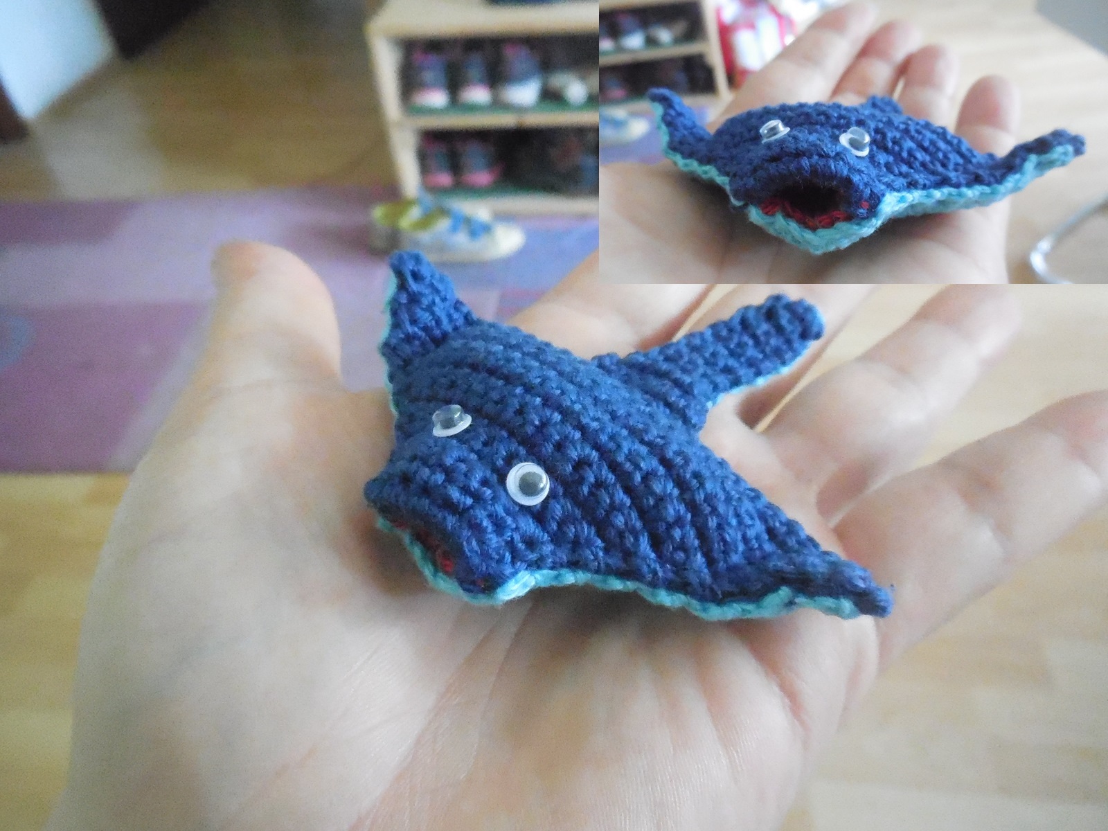 ein Rochen, auch für ihn war kein Platz mehr im kleinen Aquarium....