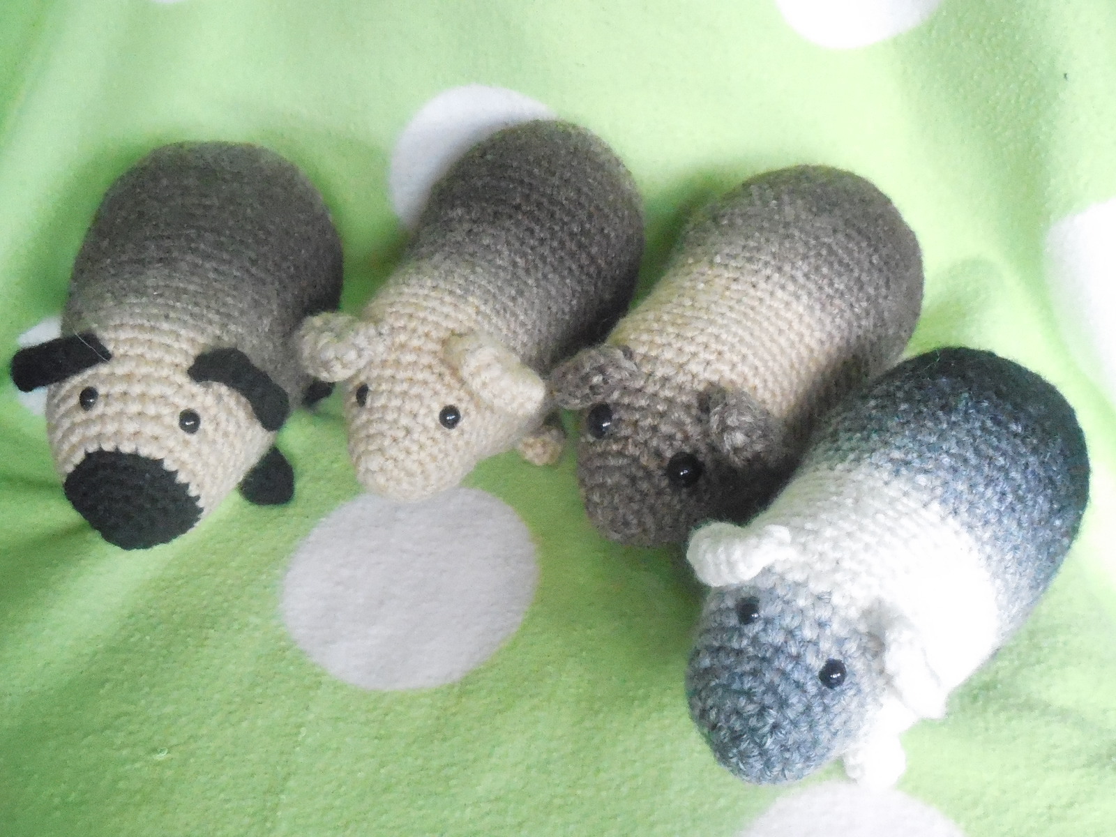 in schöner Farbverlaufwolle