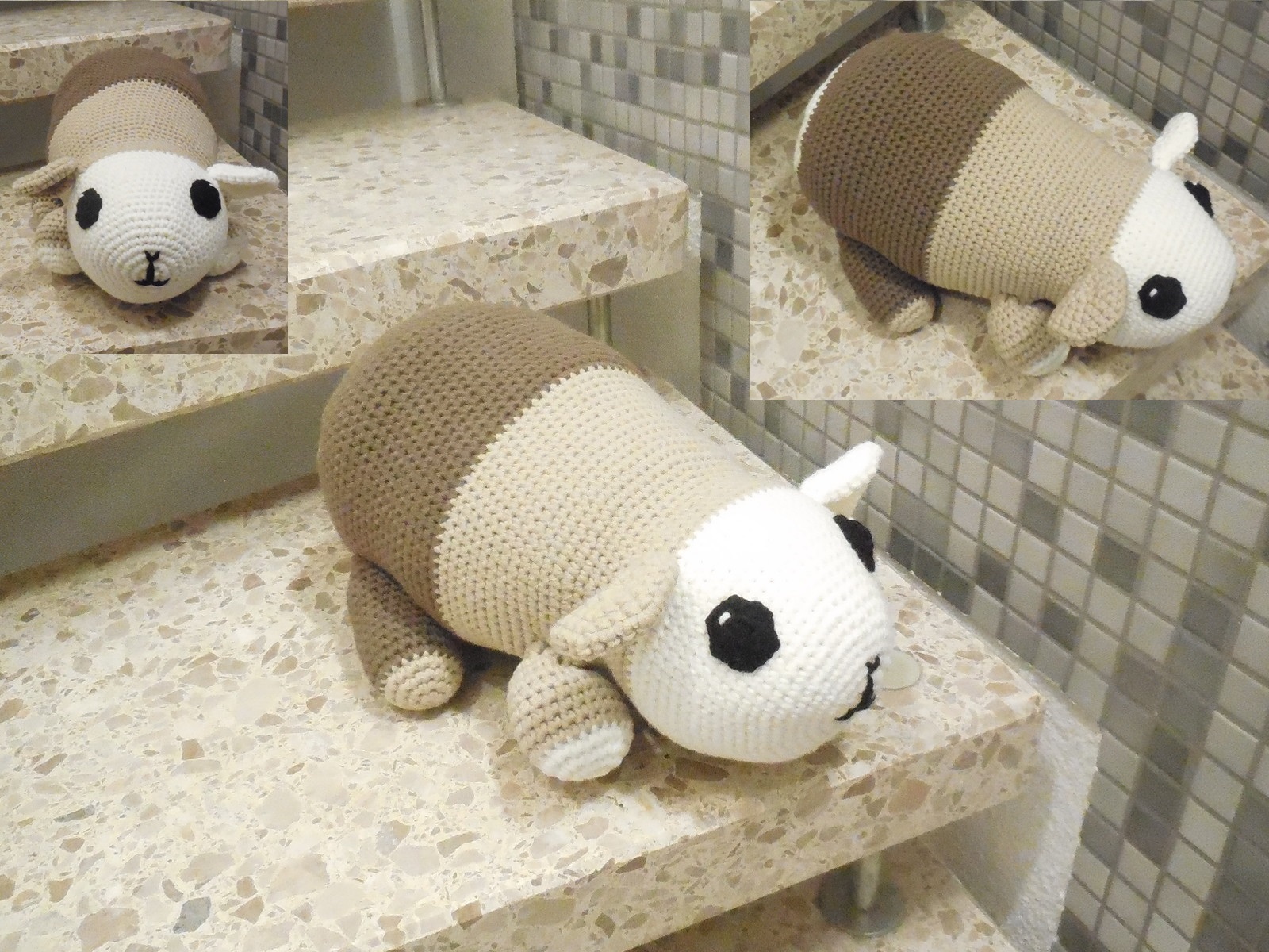 Riesenmeerschweinchen